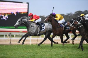 Wyong Gold Cup Winners (Paths Of Glory, 2020) | Photo: Steve Hart | Ladbrokes.com.au