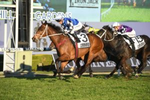 Newcastle Gold Cup Winners (Mugatoo) | Photo: Steve Hart | Ladbrokes.com.au