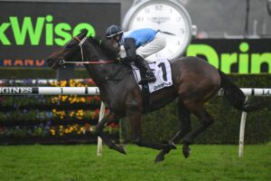 Winter Stakes Winners - Bandersnatch | Photo: Steve Hart | Ladbrokes