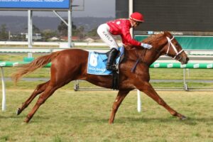 Instant Celebrity | Photo: Jenny Barnes | Ladbrokes