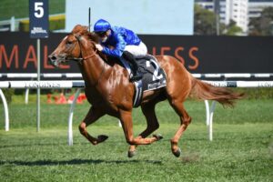 2021 Roman Consul Stakes Winner Paulele