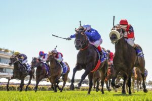 2021 Maribyrnong Plate Winner Brereton