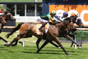 2021 Sandown Cup Winner Dragon Storm