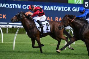 2022 Randwick Guineas Winner Converge