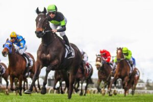 2022 Sunshine Coast Cup Winner Scallopini