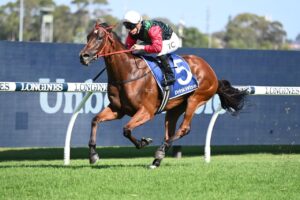 2023 Expressway Stakes Winner Mariamia