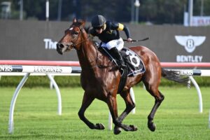 2022 Aspiration Quality Winner Le Lude