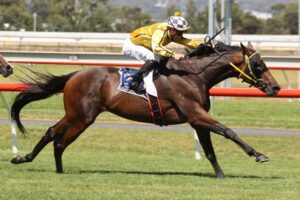 2022 Lord Reims Stakes Winner Canford