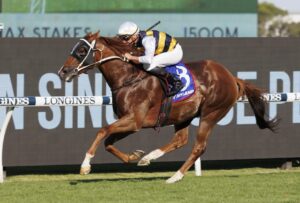 2023 Ajax Stakes Winner Cepheus