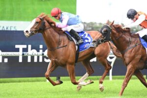 2022 Ajax Stakes Winner Just Folk