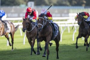 2023 Champagne Stakes winner Militarize