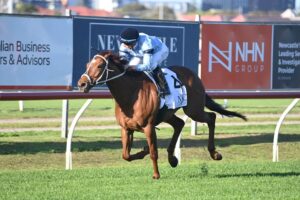 2022 Wyong Gold Cup winner Durston