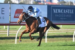 2022 Newcastle Gold Cup winner Durston