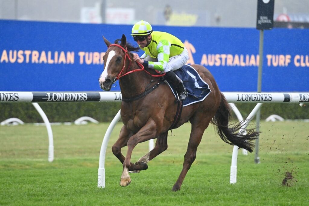 2022 Concorde Stakes winner Eduardo