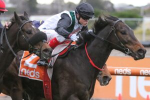 2022 PB Lawrence Stakes winner Mr Brightside
