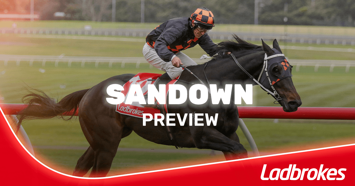 Sandown Betting Odds