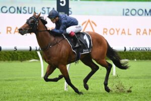 2022 Roman Consul Stakes winner Best Of Bordeaux