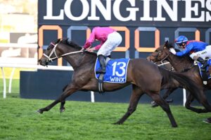 2023 Winx Stakes winner Fangirl