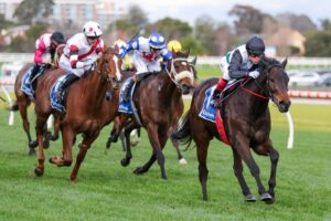 2023 PB Lawrence Stakes winner Mr Brightside