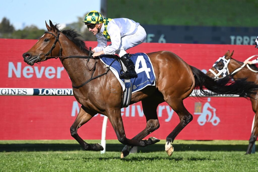 2023 Sheraco Stakes winner Sunshine In Paris