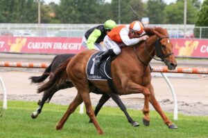 2022 Zipping Classic winner Vow And Declare