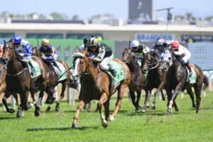 2024 Magic Millions The Syndicate winner Derry Grove