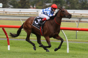 2022 BRC Premier's Cup winner Splendiferous