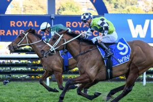 2024 Winx Stakes winner Via Sistina (inside)