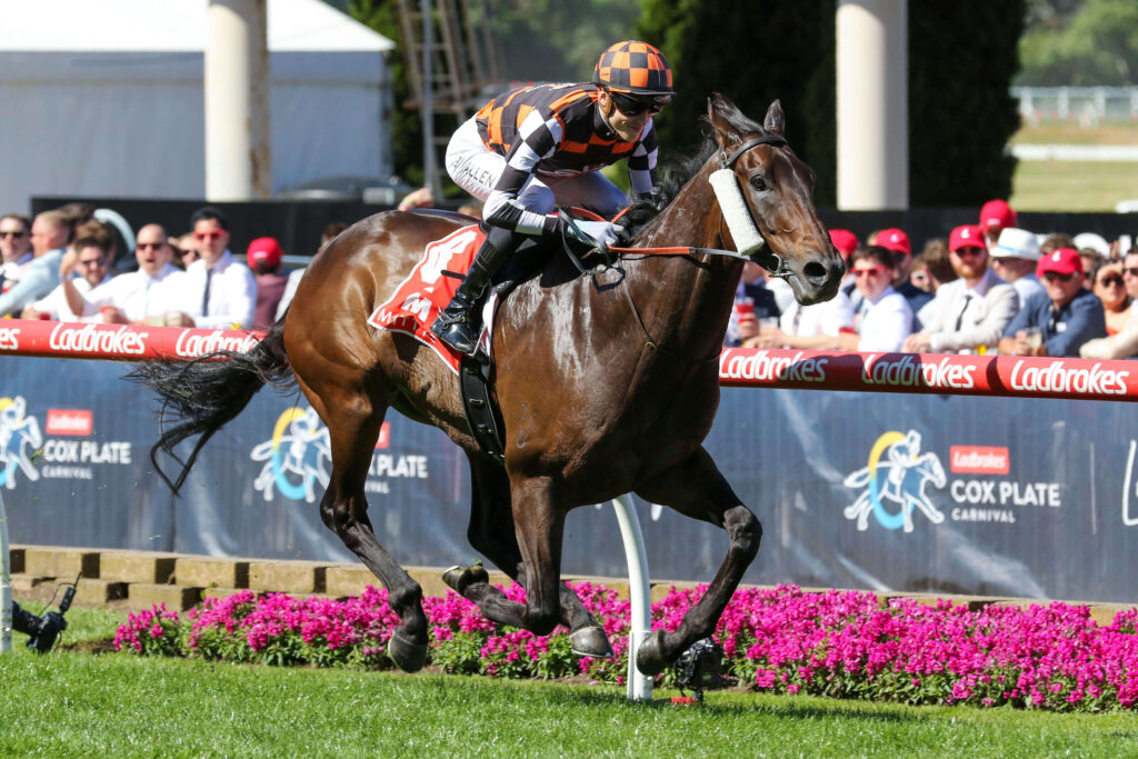 2024 McEwen Stakes winner Baraqiel