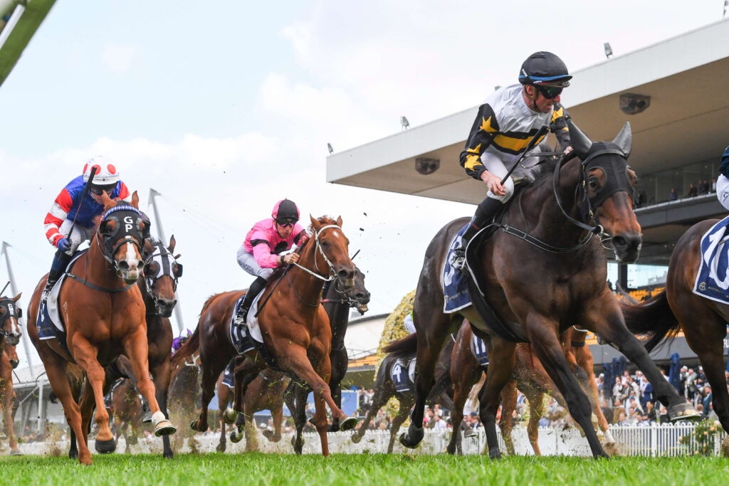 2024 Alan Brown Stakes winner Here To Shock