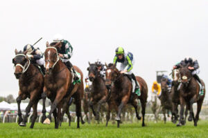 2024 Turnbull Stakes winner Via Sistina