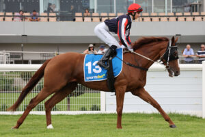 2025 Lord Reims Stakes winner Gotta Go Guru