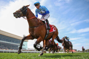 2025 Zeditave Stakes winner Tropicus