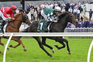Treasurethe Moment saluting for the punters in the 2025 Vinery Stud Stakes