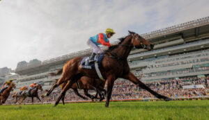 2025 The Everest contender Ka Ying Rising