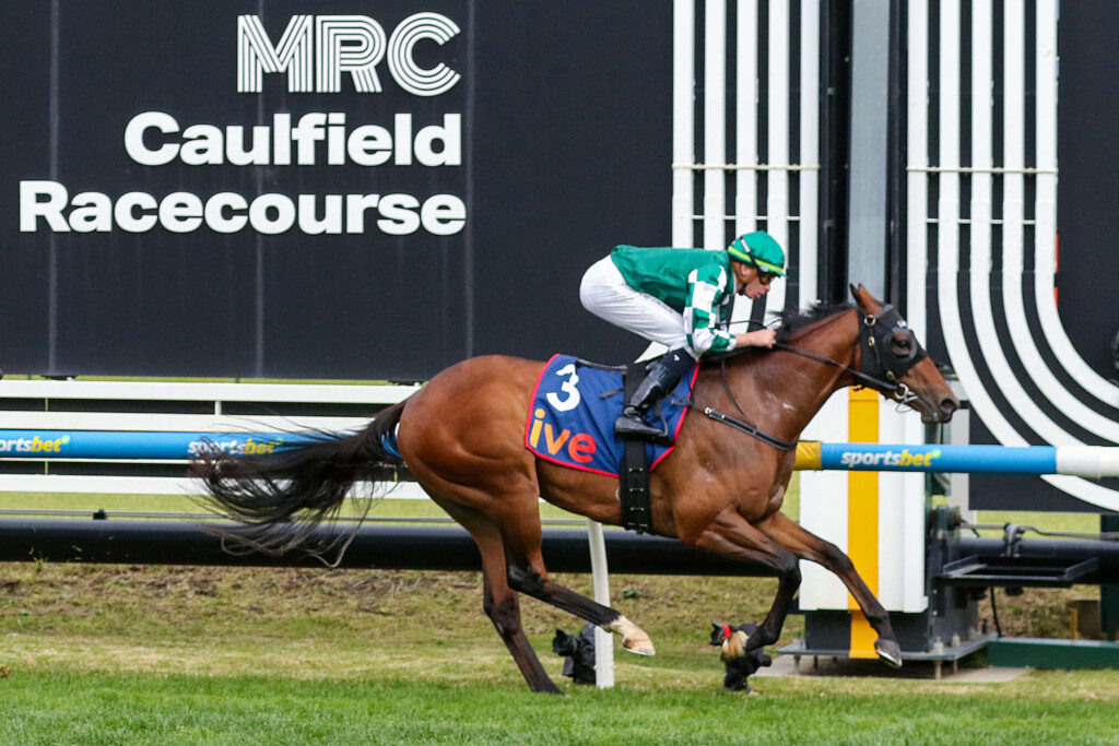 2025 McNeil Stakes winner Tycoon Star