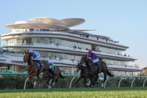 2025 Aurie's Star Handicap winner King Of Roseau