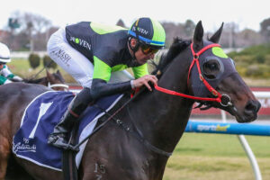 2025 P.B. Lawrence Stakes winner Private Eye