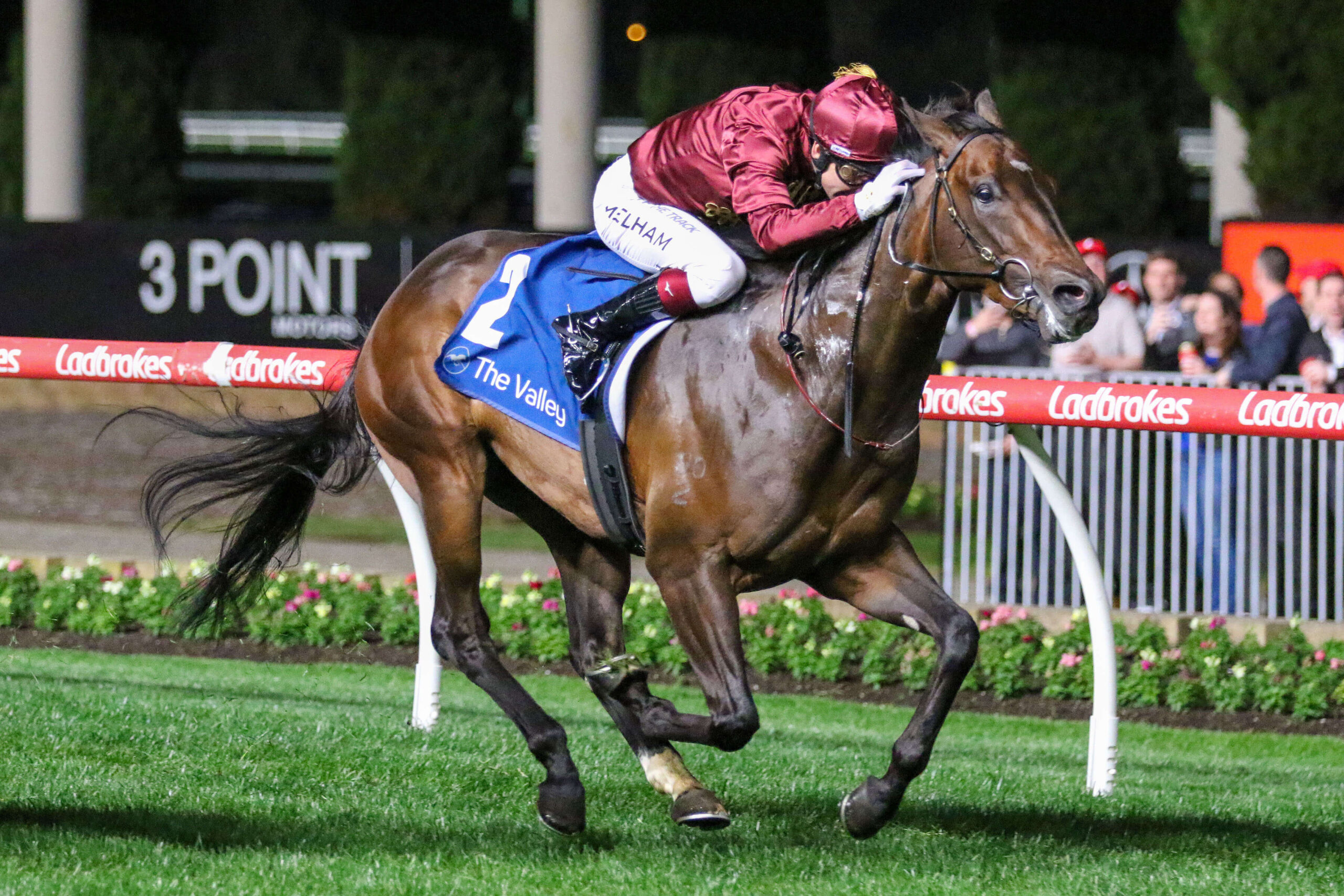 2025 Stutt Stakes winner West Of Swindon
