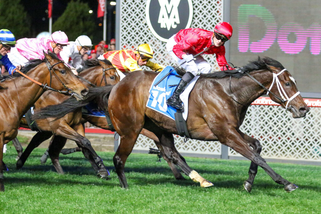 2025 Scarborough Stakes winner Snow Mercy