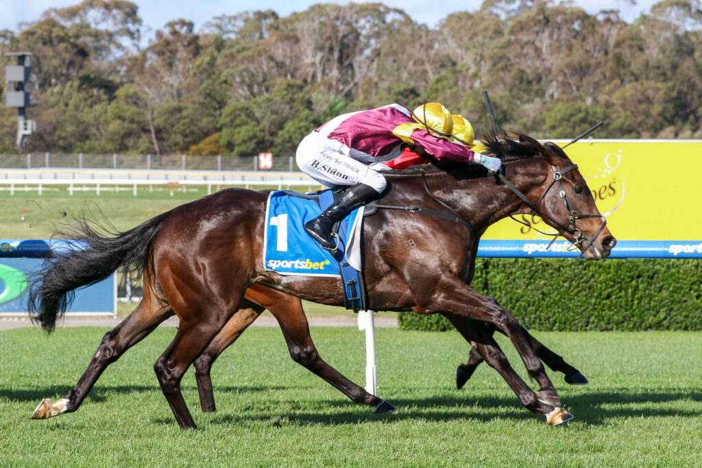 2025 Sandown Stakes winner Evaporate