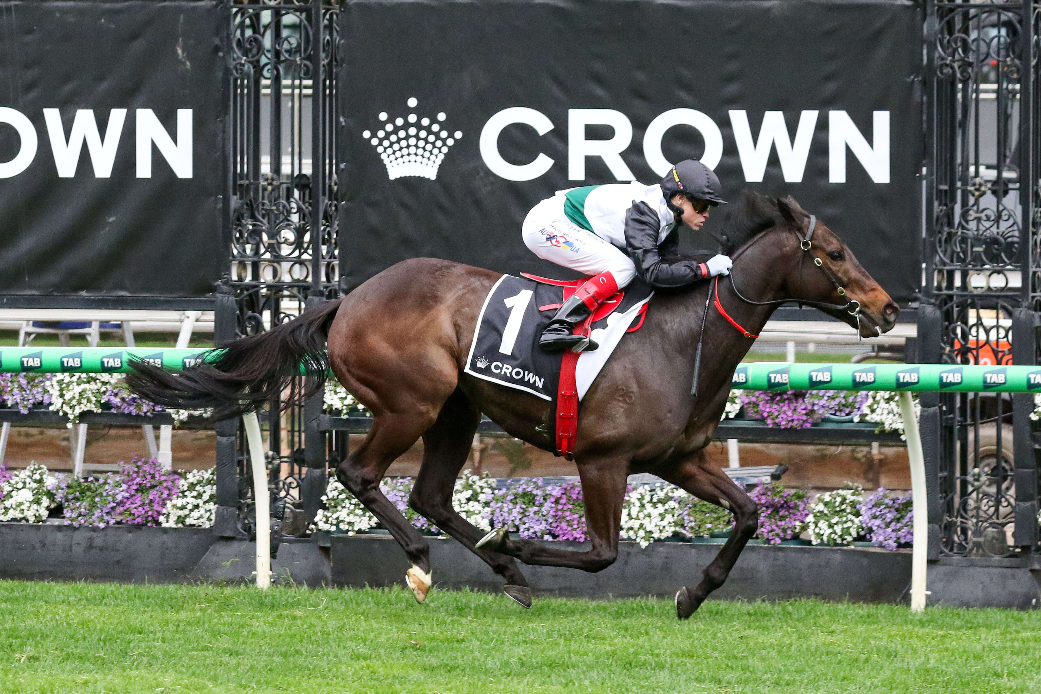 Three-time Makybe Diva Stakes winner Mr Brightside