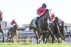 2025 Furious Stakes winner Apocalyptic