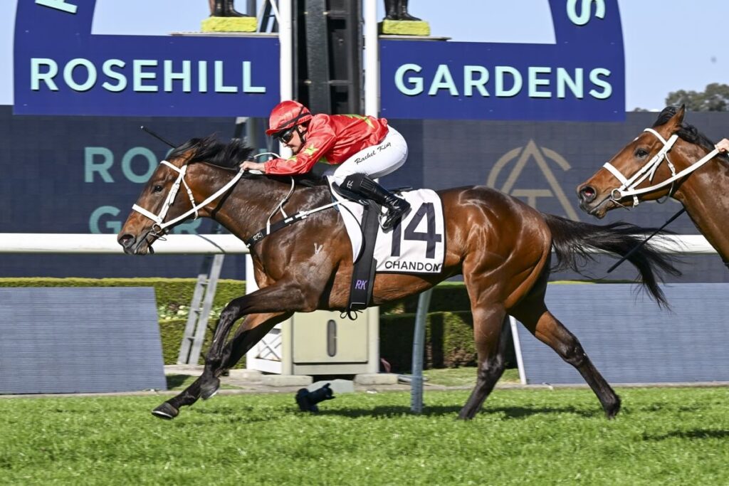 2025 Ming Dynasty Quality winner Sixties