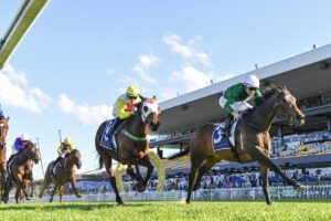 2025 Sheraco Stakes winner Manaal