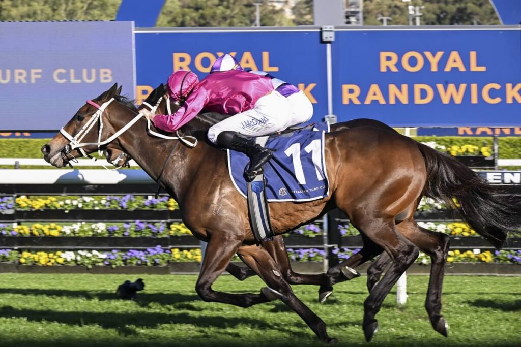 2025 7 Stakes Winner Fangirl