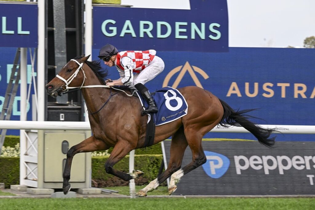 2025 Shannon Stakes winner Waterford