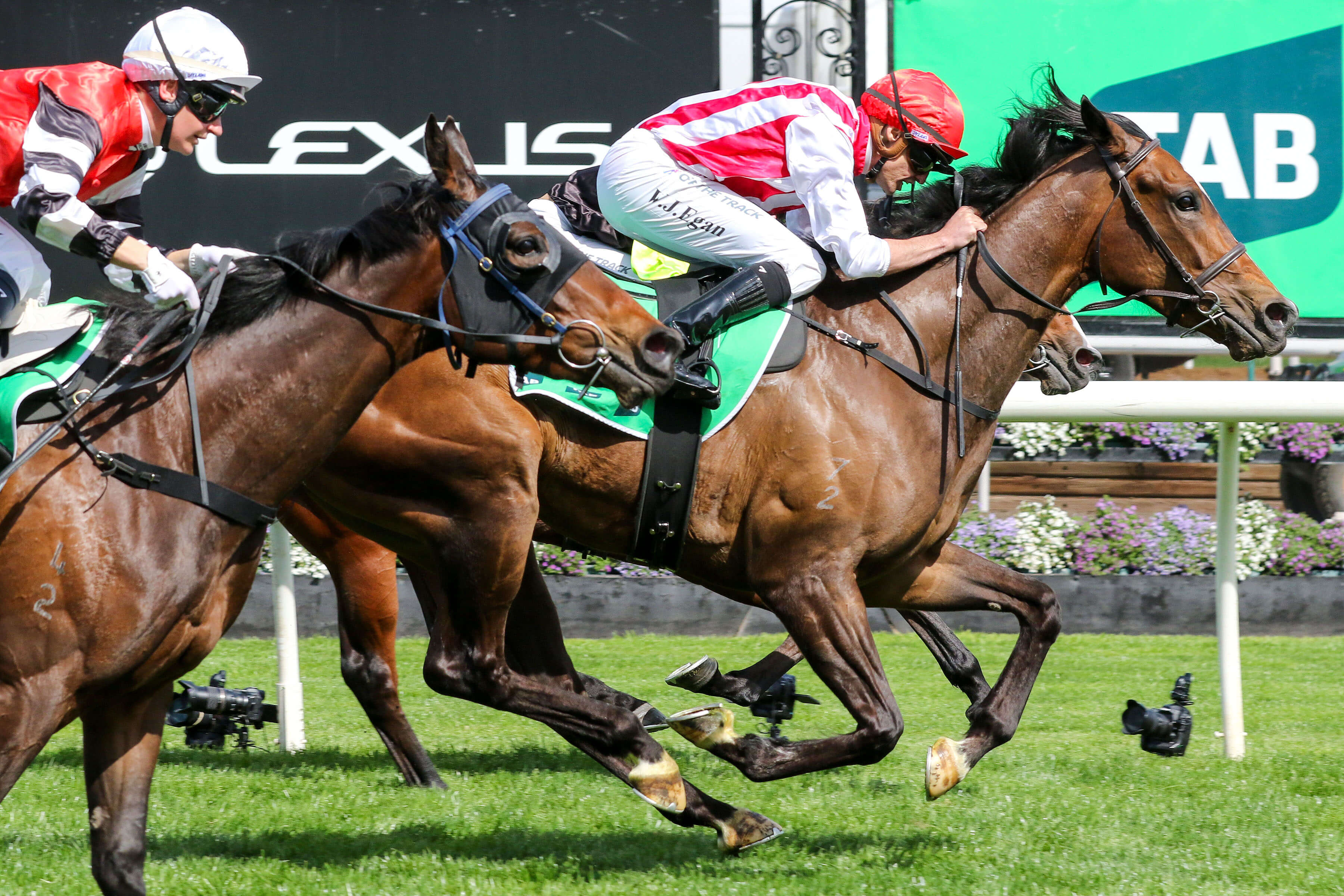 2025 Edward Manifold Stakes winner Getta Good Feeling
