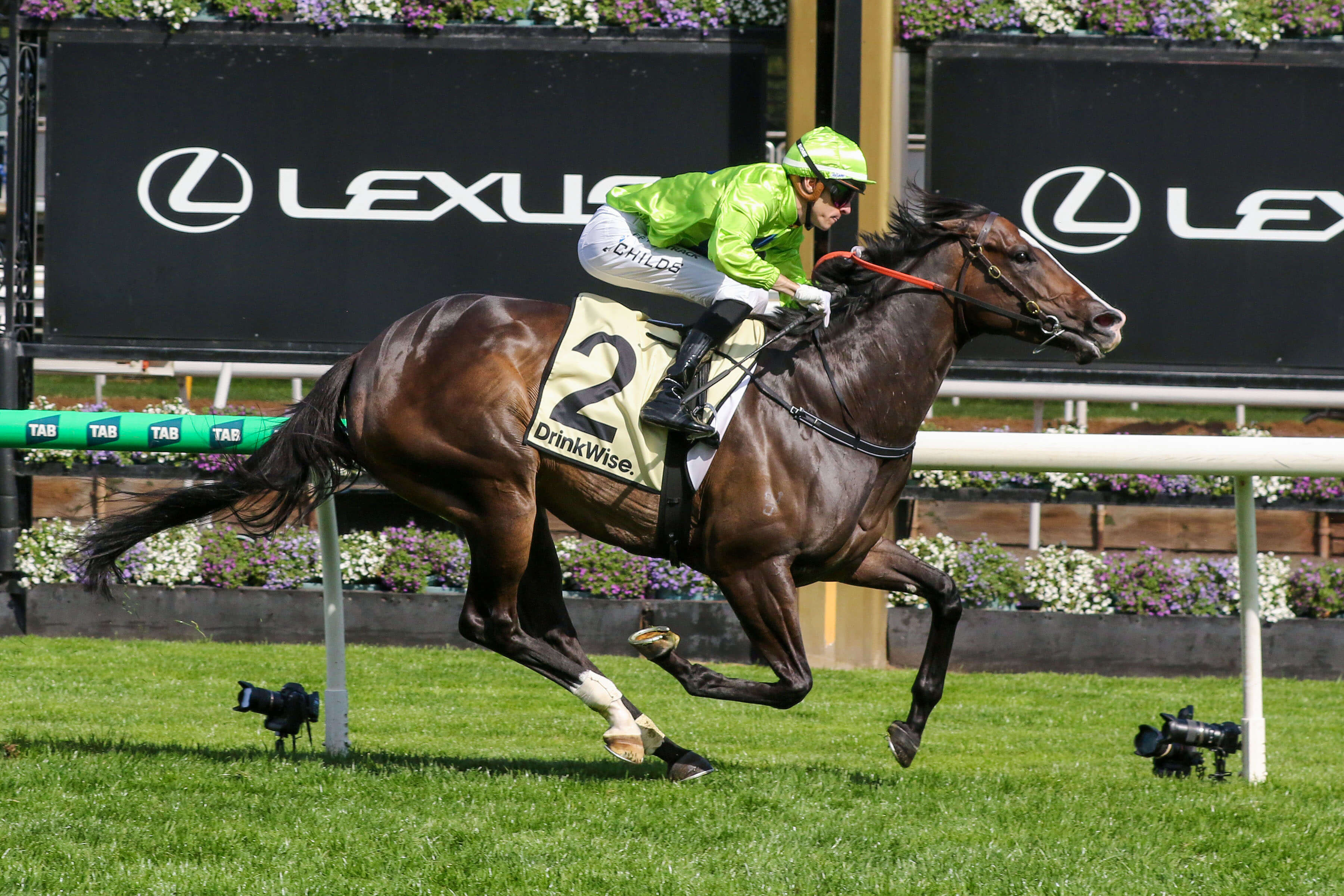 2025 Rose Of Kingston Stakes winner Miraval Rose