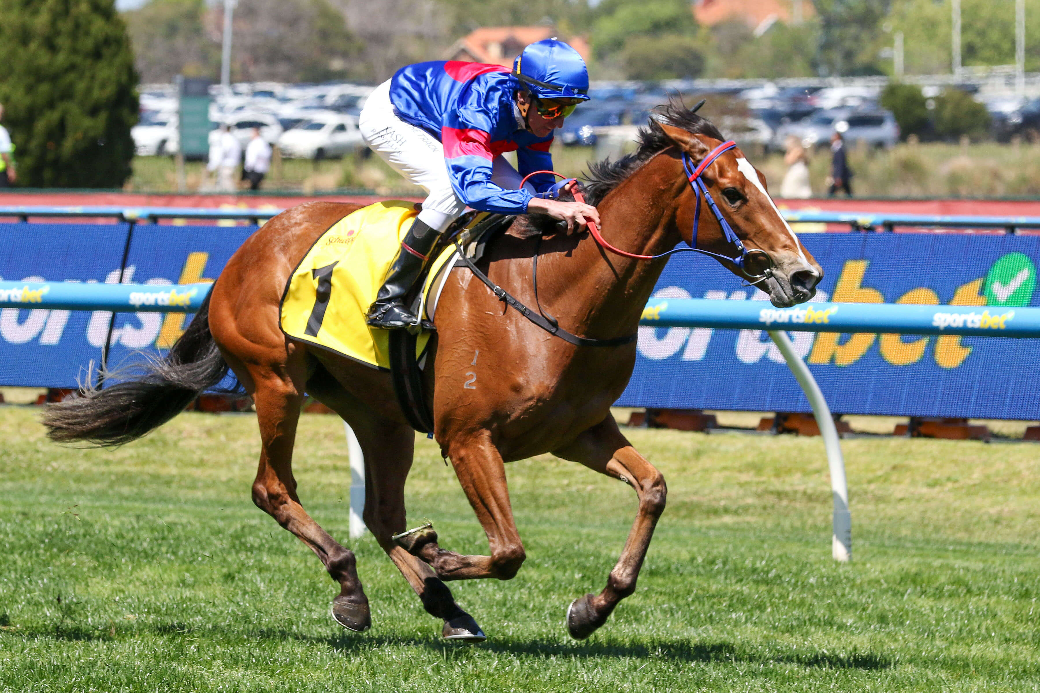 2025 Ethereal Stakes winner Spicy Lu